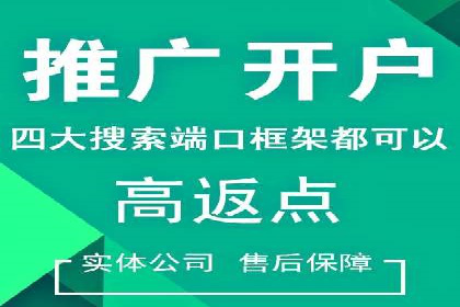 百度竞价成功案例解析